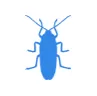Уничтожение тараканов в Жуковском
